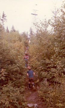 Le sentier de la clintonie, au Centre Éducatif Forestier, avec sa tour de garde feu.